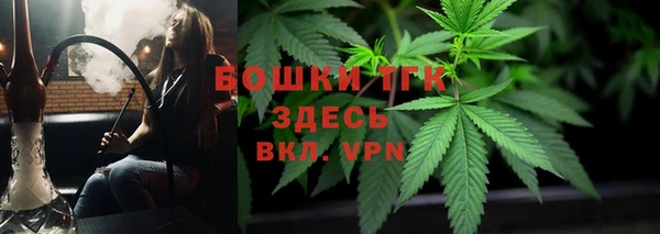 ГАЛЛЮЦИНОГЕННЫЕ ГРИБЫ Арсеньев