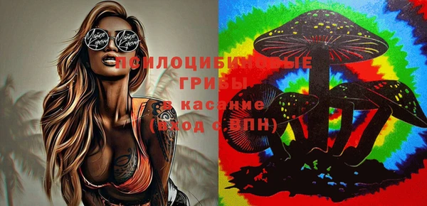ГАЛЛЮЦИНОГЕННЫЕ ГРИБЫ Арсеньев