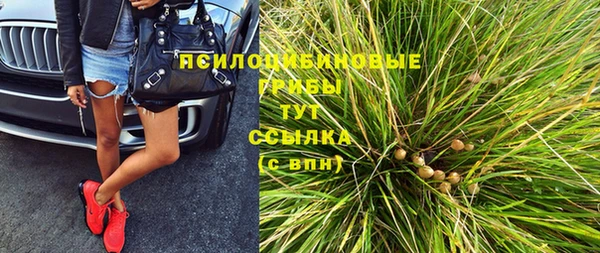 ГАЛЛЮЦИНОГЕННЫЕ ГРИБЫ Арсеньев